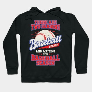 Funny Baseball Season Game Player Gift Hoodie